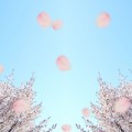 お花見だけじゃない！桜にはハッピーになれる要素がいっぱいだったよ♪