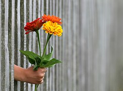 愛の反対は 無関心 だったら 愛の反対は 無関心 だったら